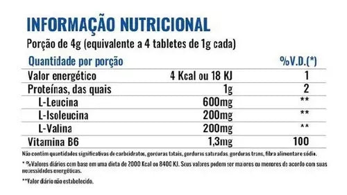 BCAA Aminoácidos en pote de 120g - Profitlabs